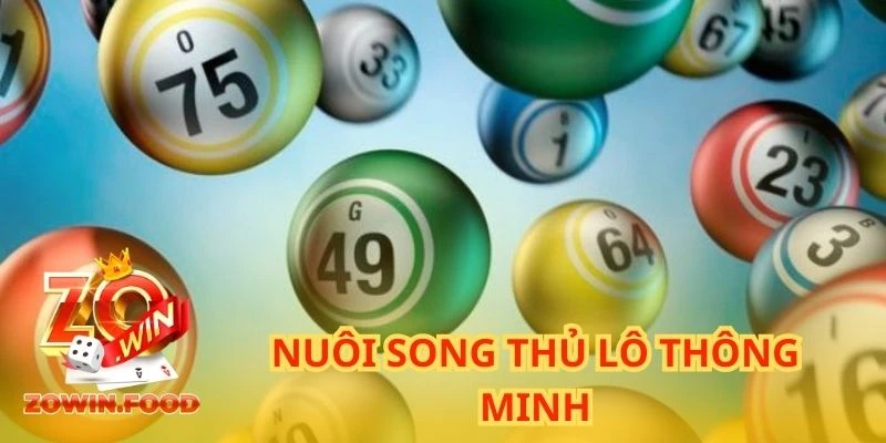 Thời gian nuôi song thủ lô dao động từ 2 đến 4 ngày là lý tưởng nhất