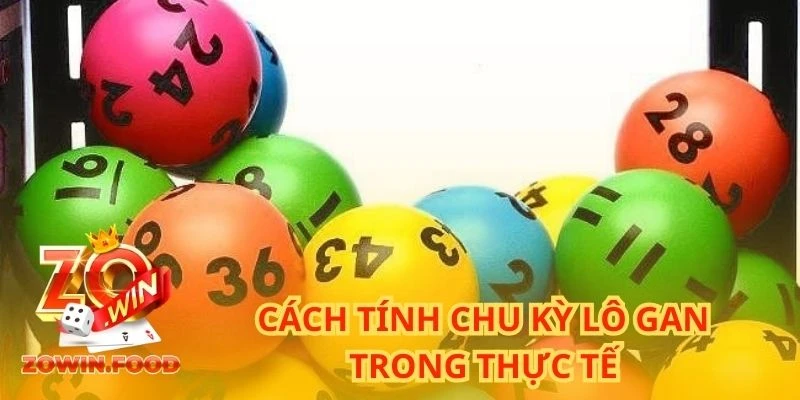 Cách tính chu kỳ lô gan trong thực tế